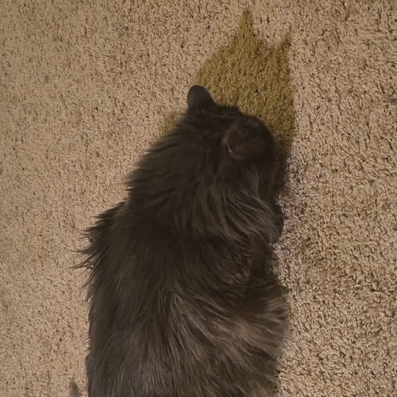 Home from hospital - Picture 12 of 12